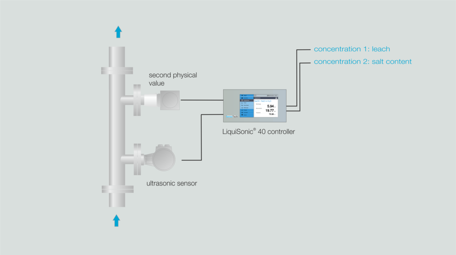 Sonic velocity measurement with LiquiSonic® 40 Image